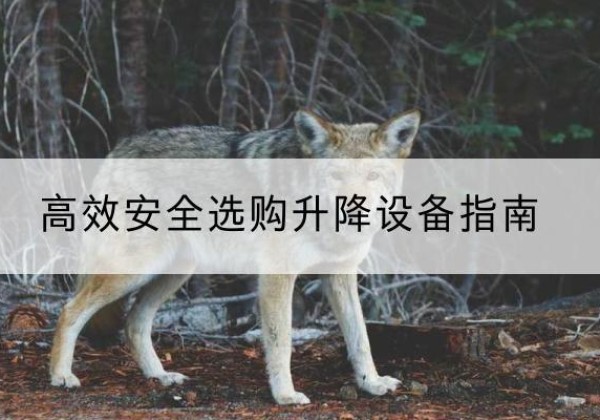 绿园升降货梯厂家推荐-*安全选购升降设备指南