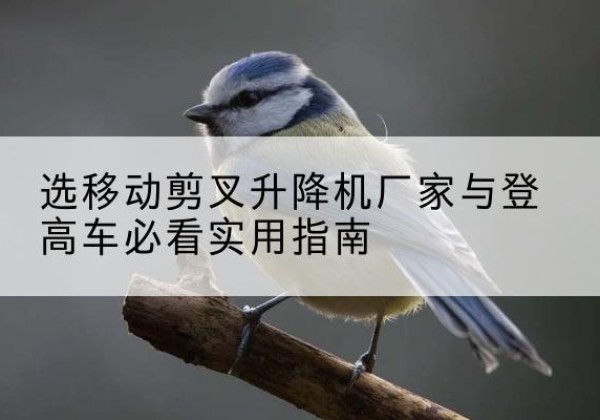 绿园电动升降机厂家-选移动剪叉升降机厂家与登高车必看实用指南