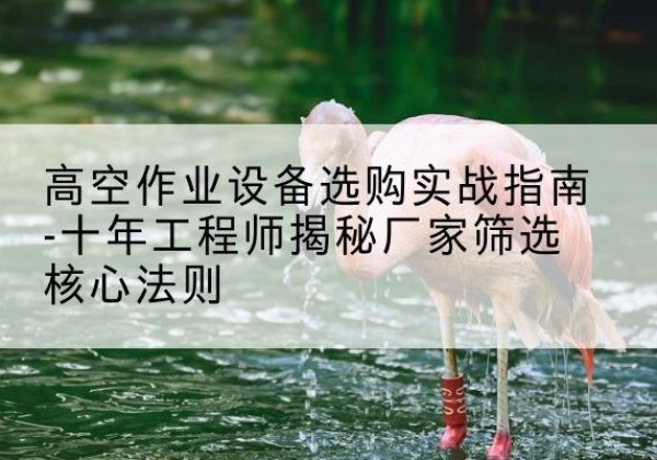 绿园剪叉式升降机厂家-高空作业设备选购实战指南-十年工程师揭秘厂家筛选核心法则